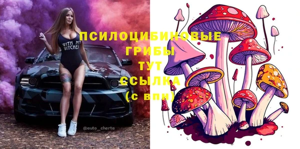 гашик Заволжск