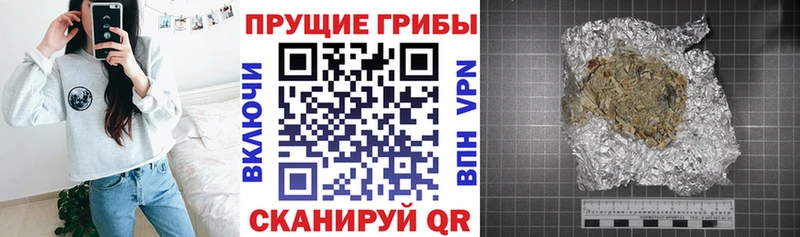 Псилоцибиновые грибы прущие грибы  Снежинск 